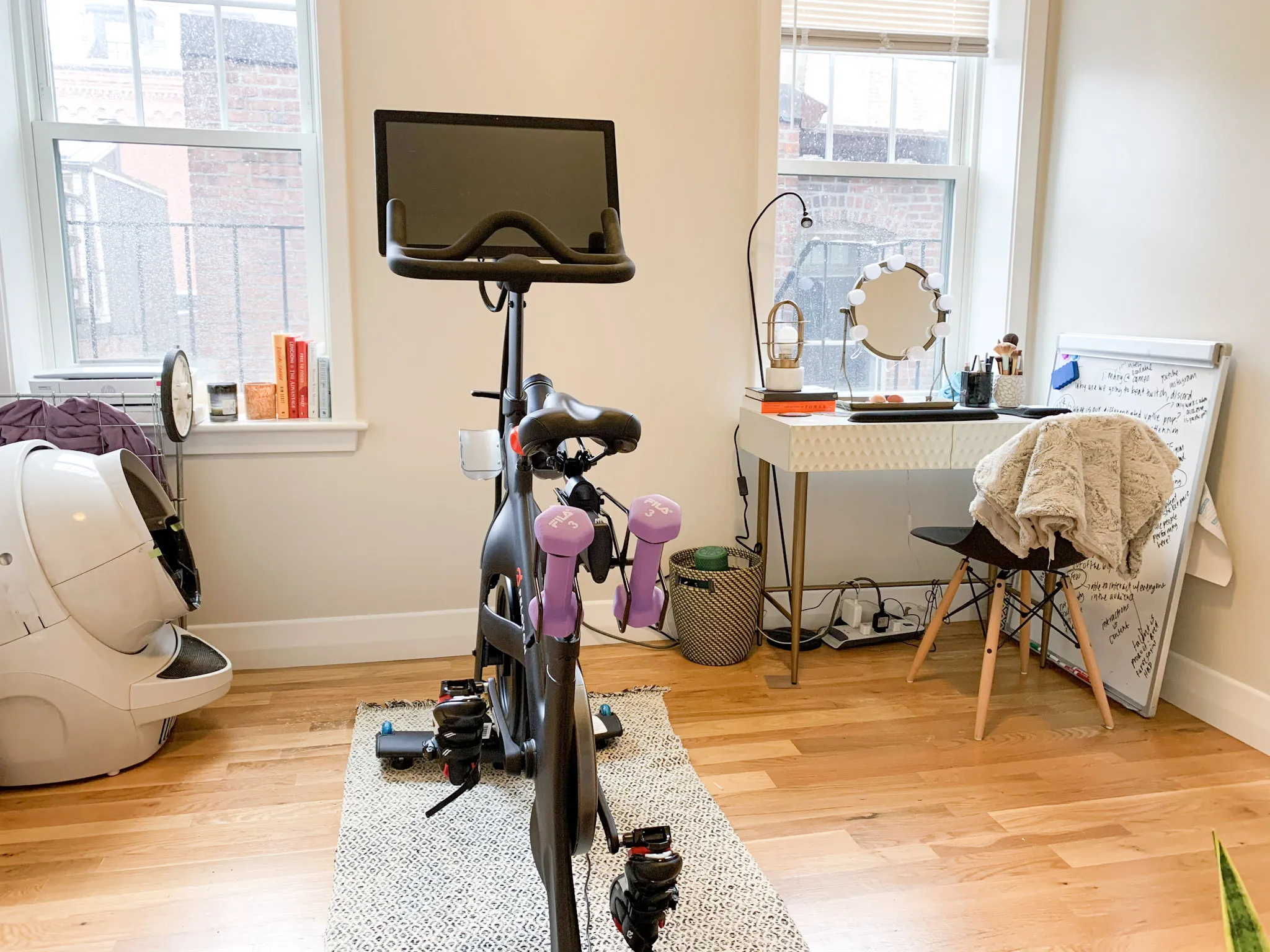 33 Anderson St, Beacon Hill