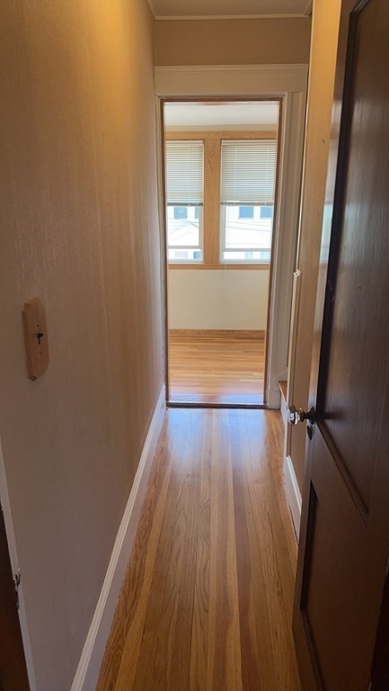 48 Trapelo, Brighton