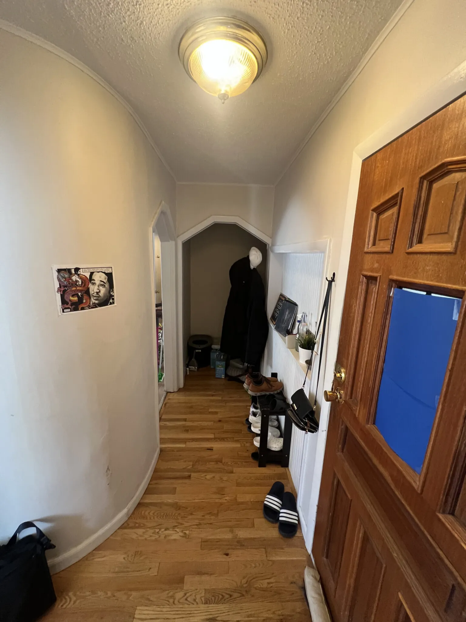 294 Prospect St, Wellington-Harrington