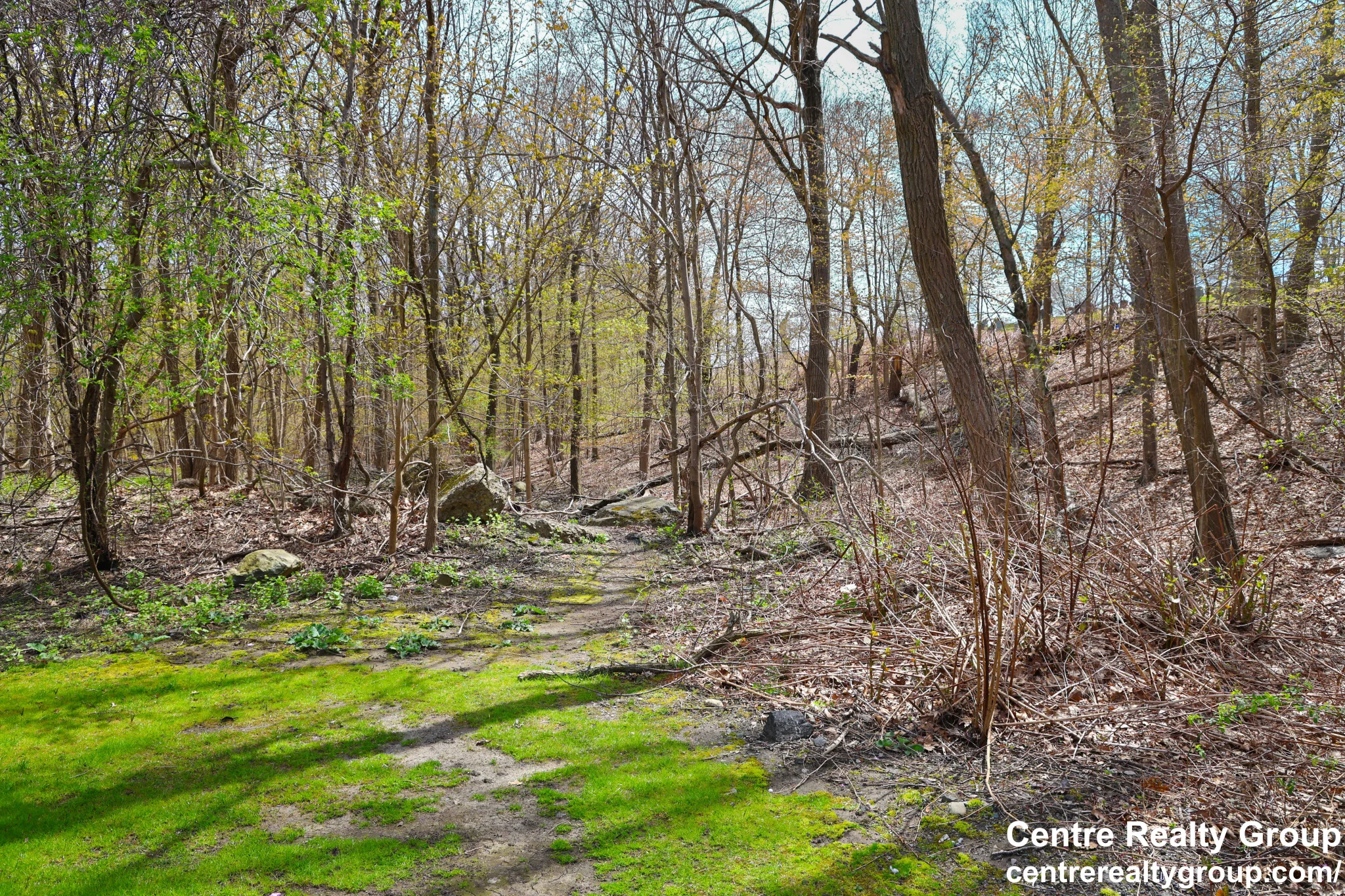 14 Bryon Rd, Chestnut Hill