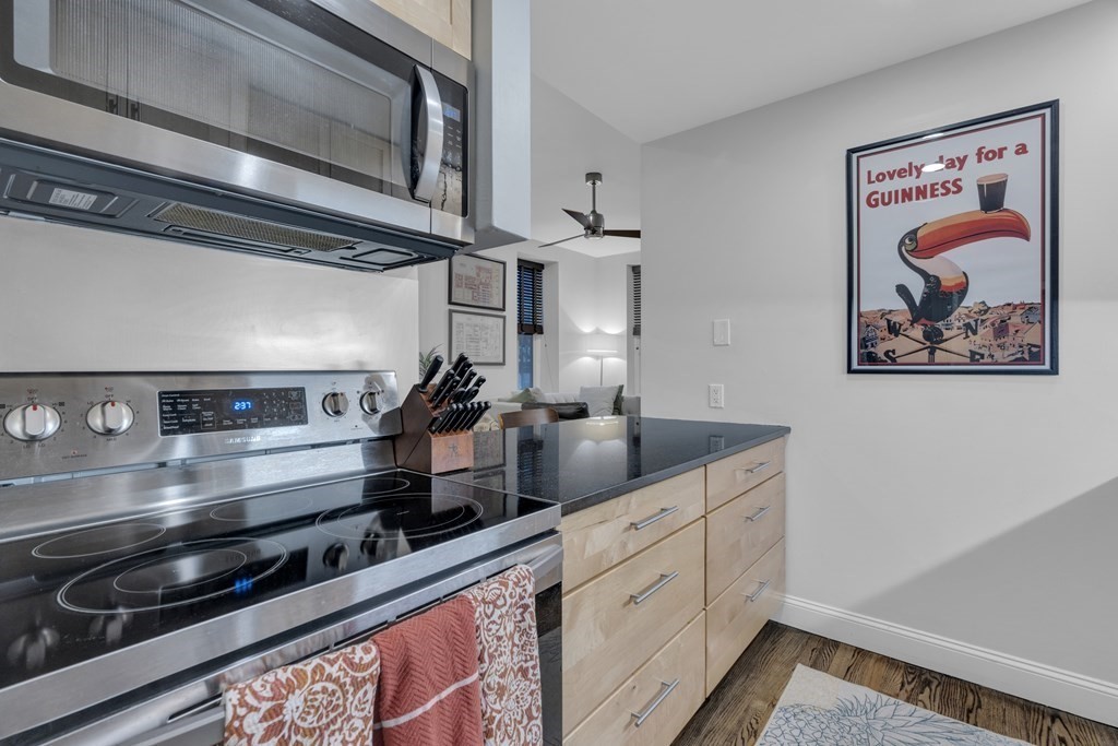 30-34 E Concord St, Boston