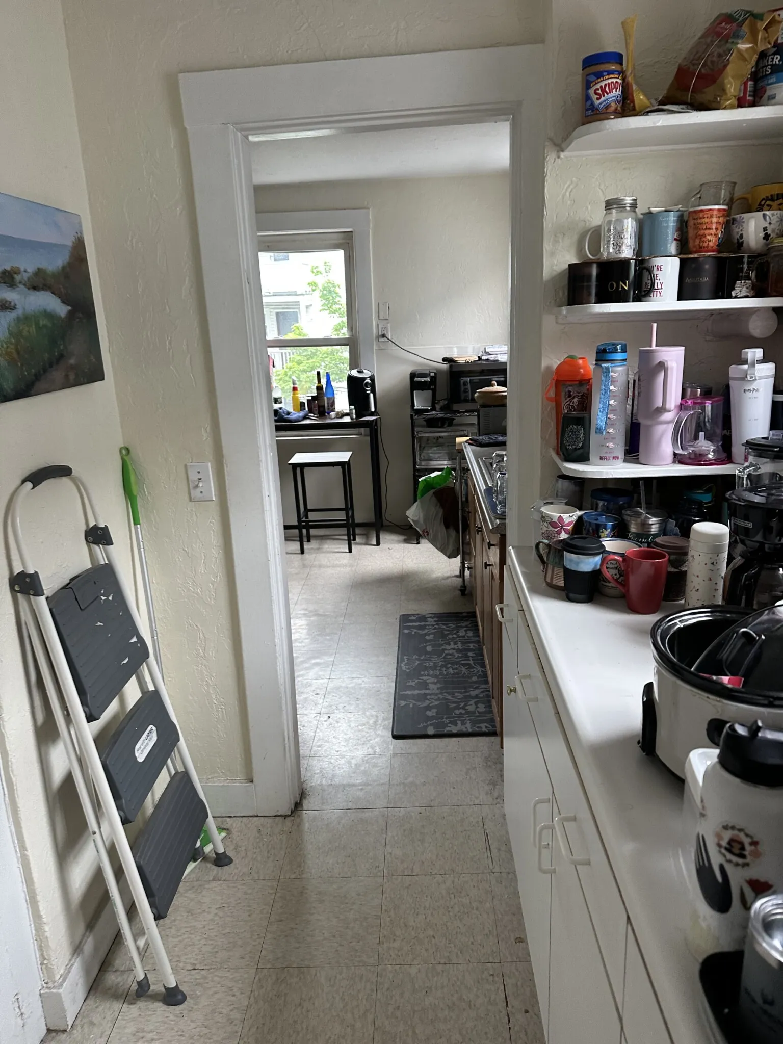 58 Brock St, Oak Square