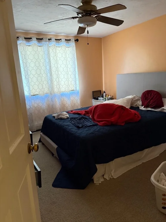 11 Bluegrass Ln, Shrewsbury