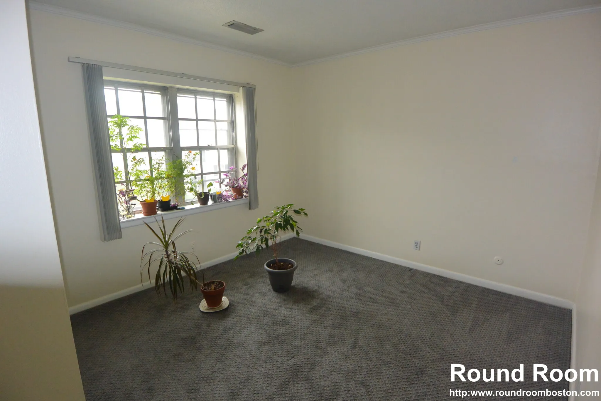 178 Lake Shore Rd, Oak Square