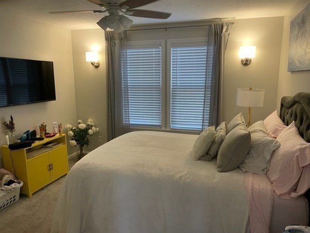 157 Floral St, Shrewsbury