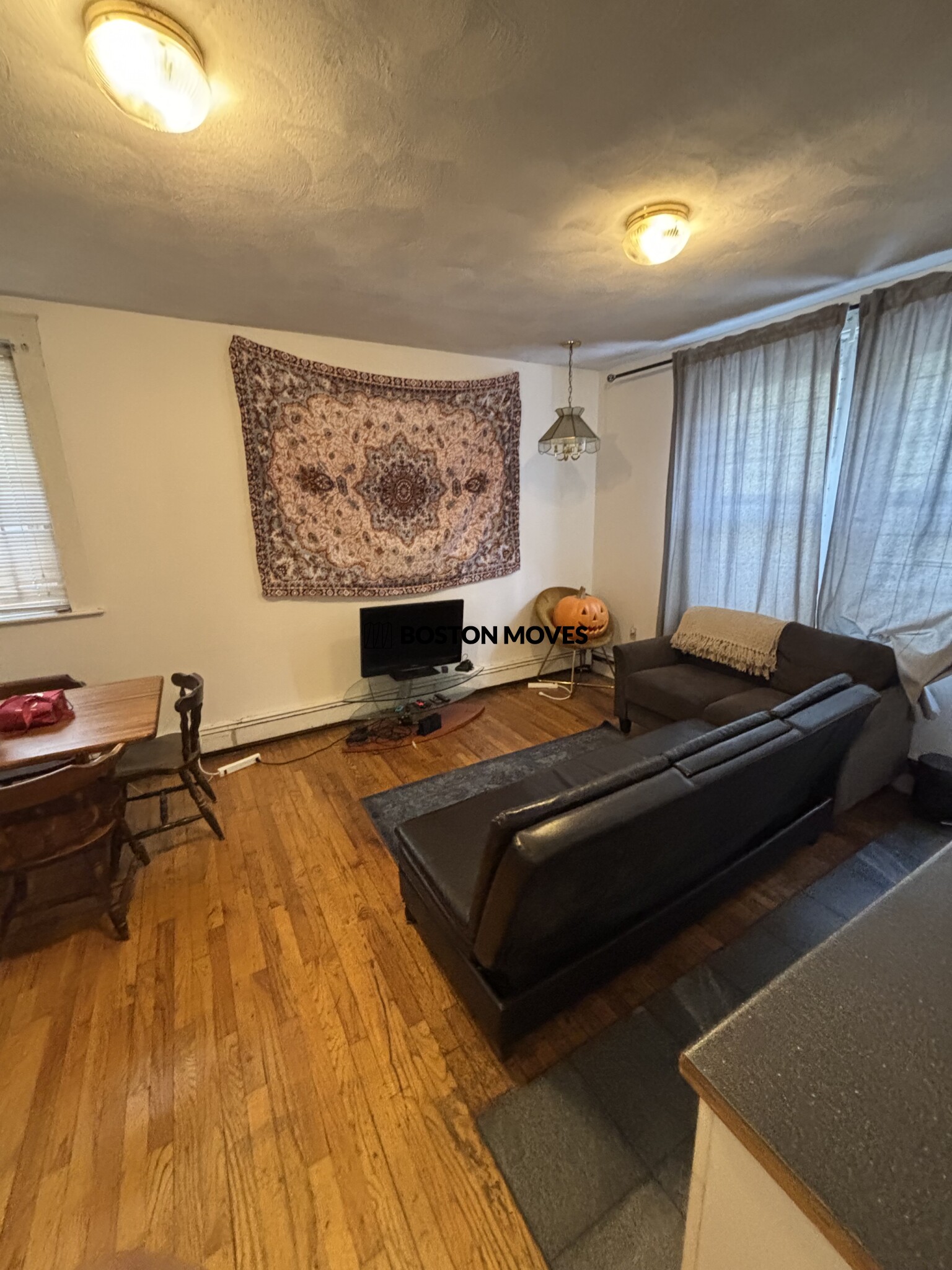 15 Scottfield Rd, Brighton