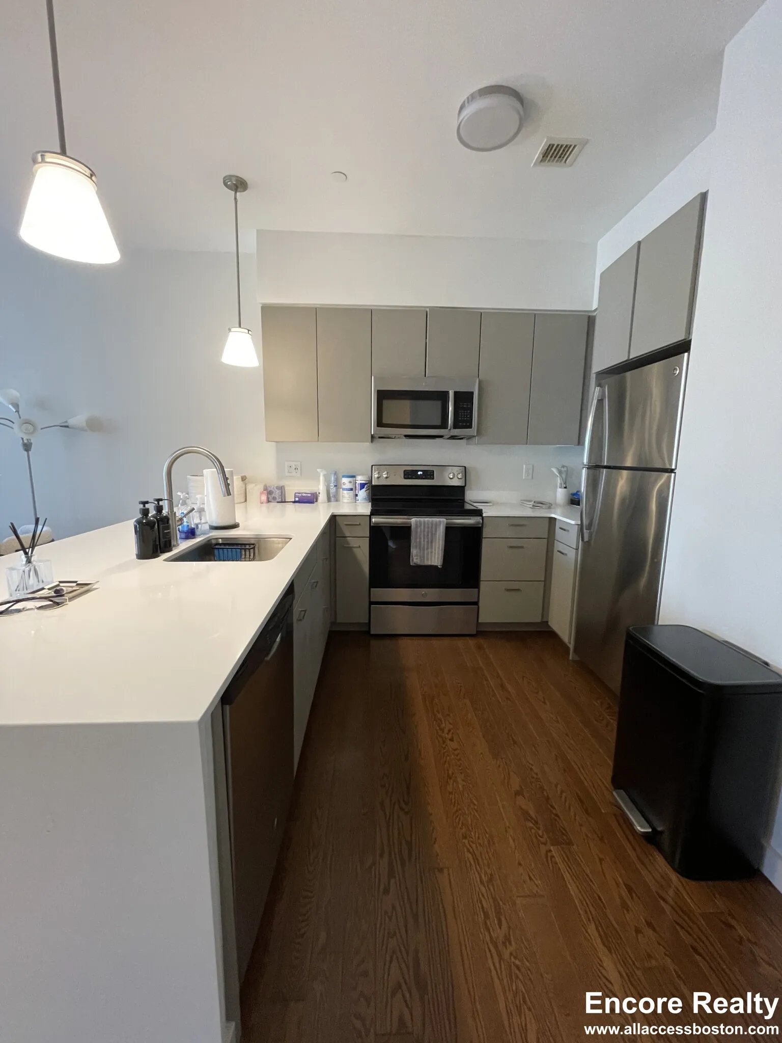 455 Harvard St, North Brookline