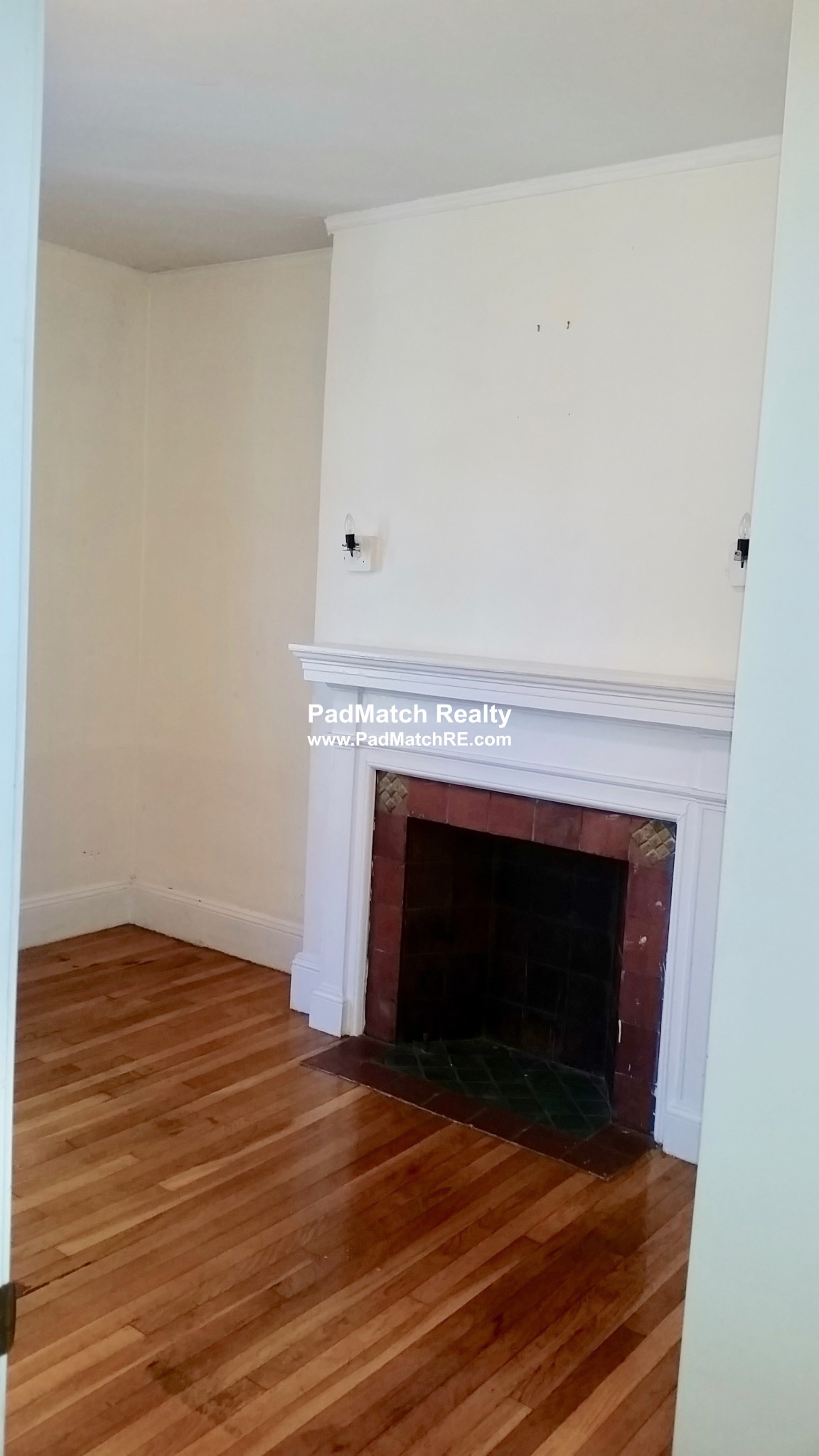 62 Egmont St, Longwood