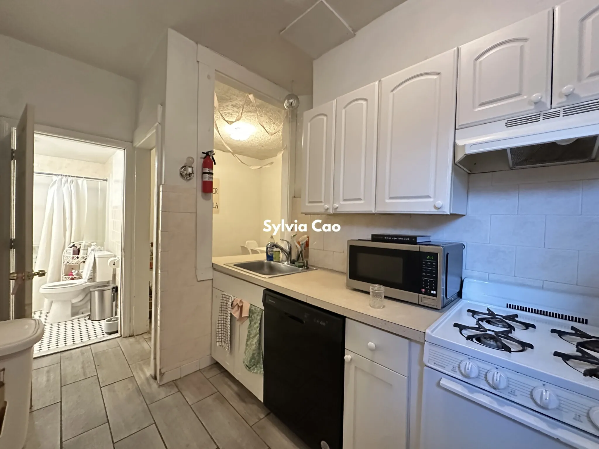 56 Egmont St, North Brookline