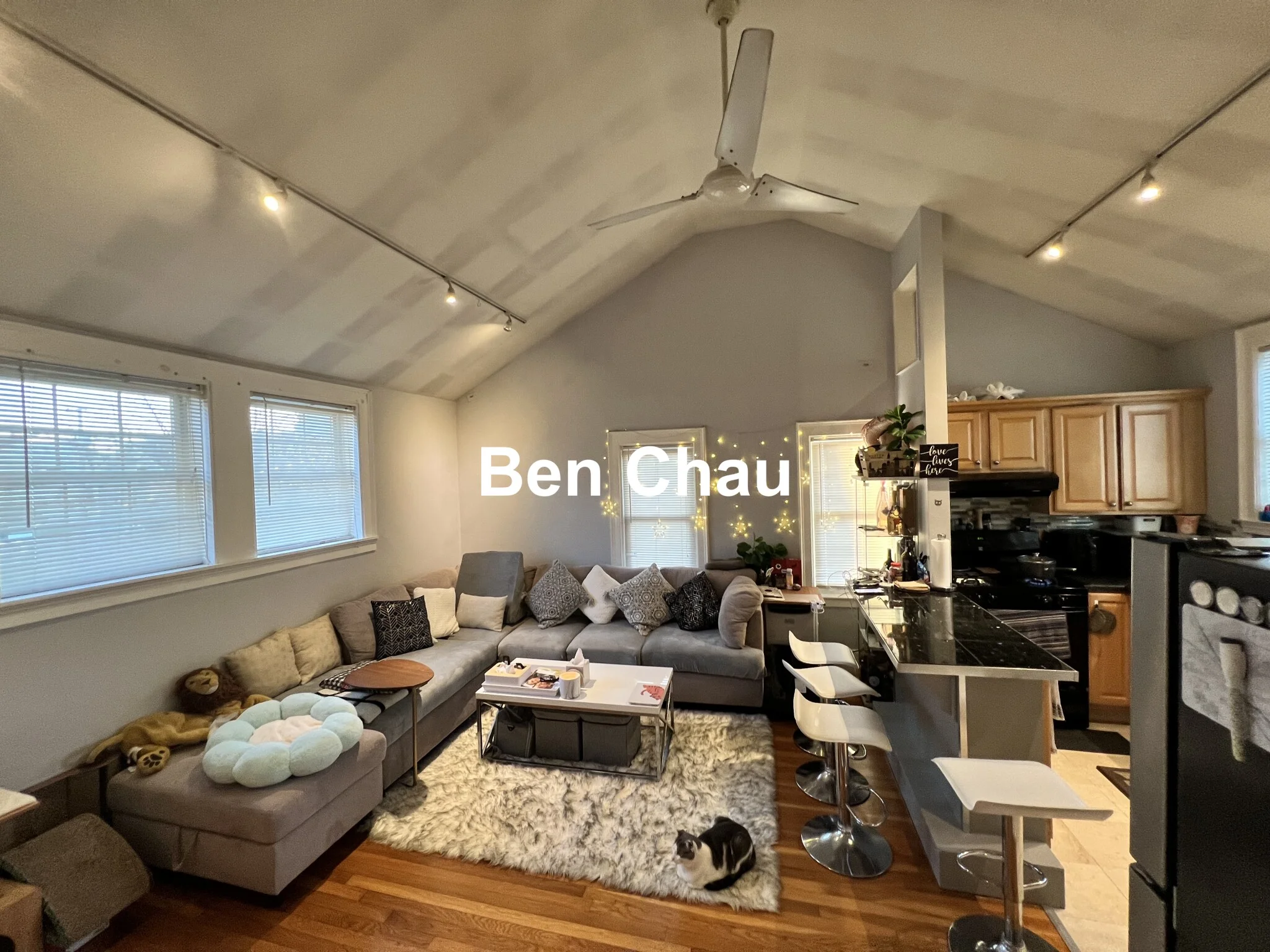 45 Lincoln St, Malden