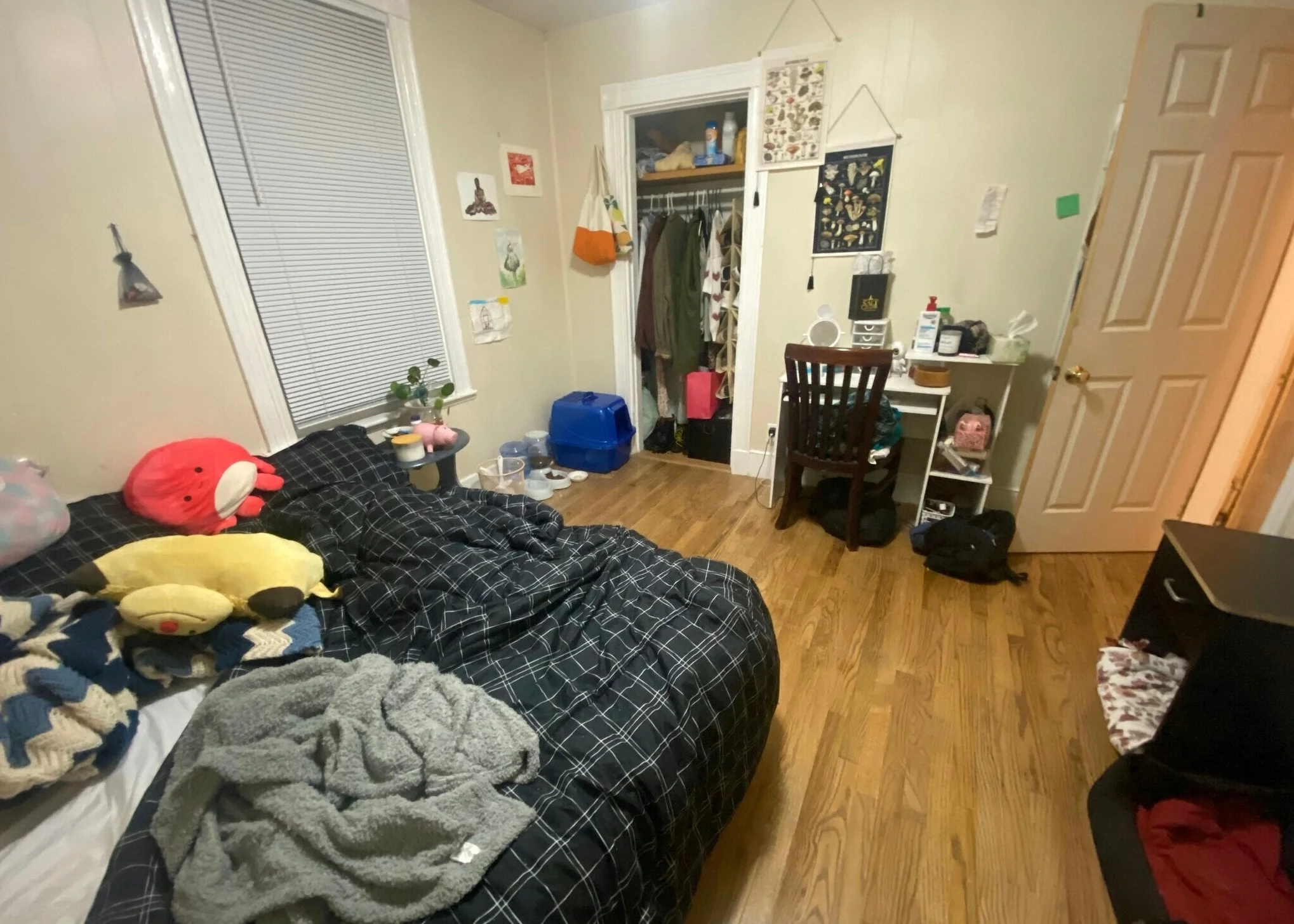 21 Bucknam St, Mission Hill