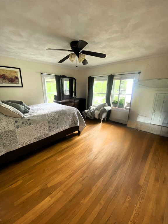 35 Reedsdale Rd, Milton