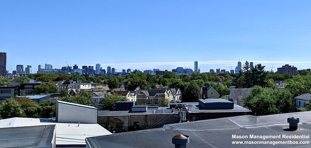 43 Park St, Ward Two