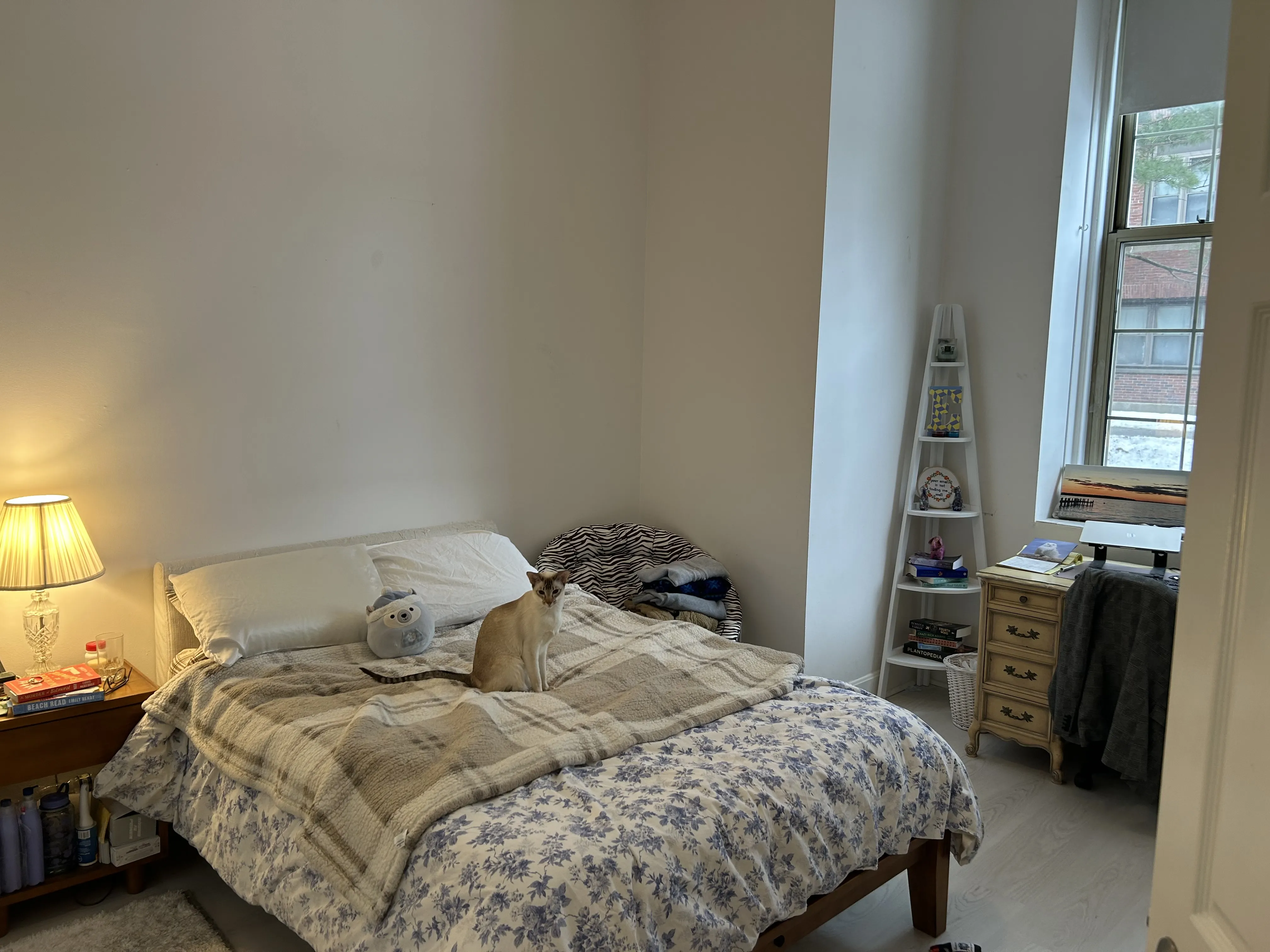 48 Forest St, Medford