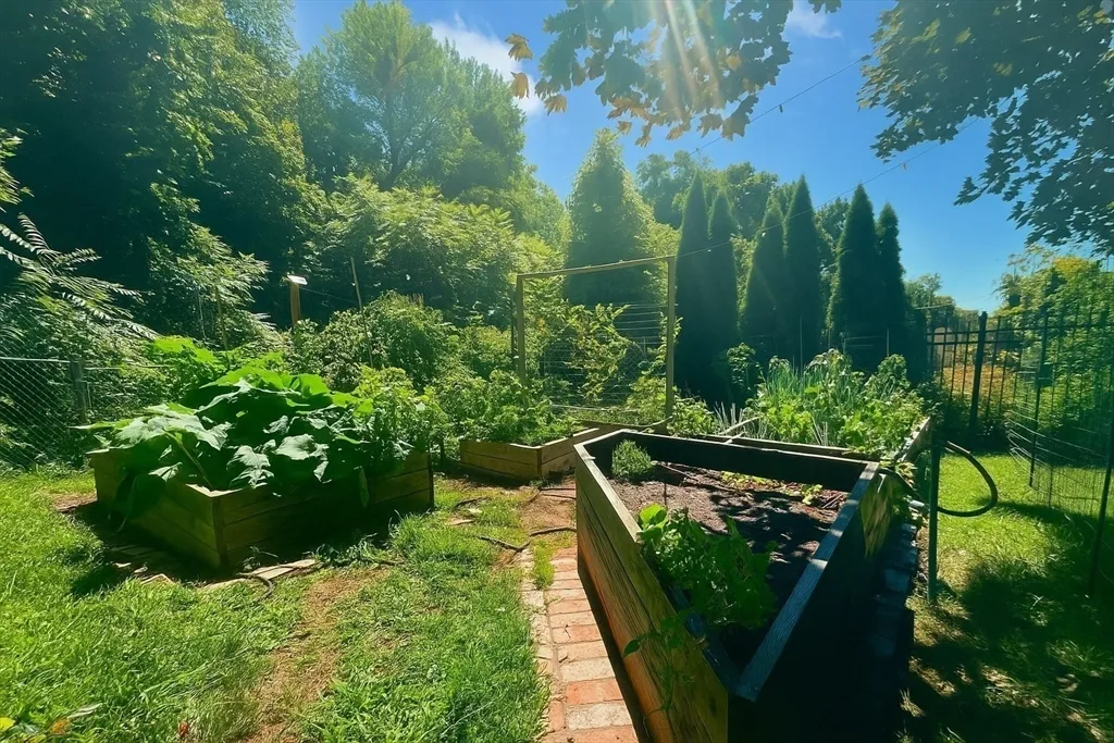 177 Springfield St, Springfield