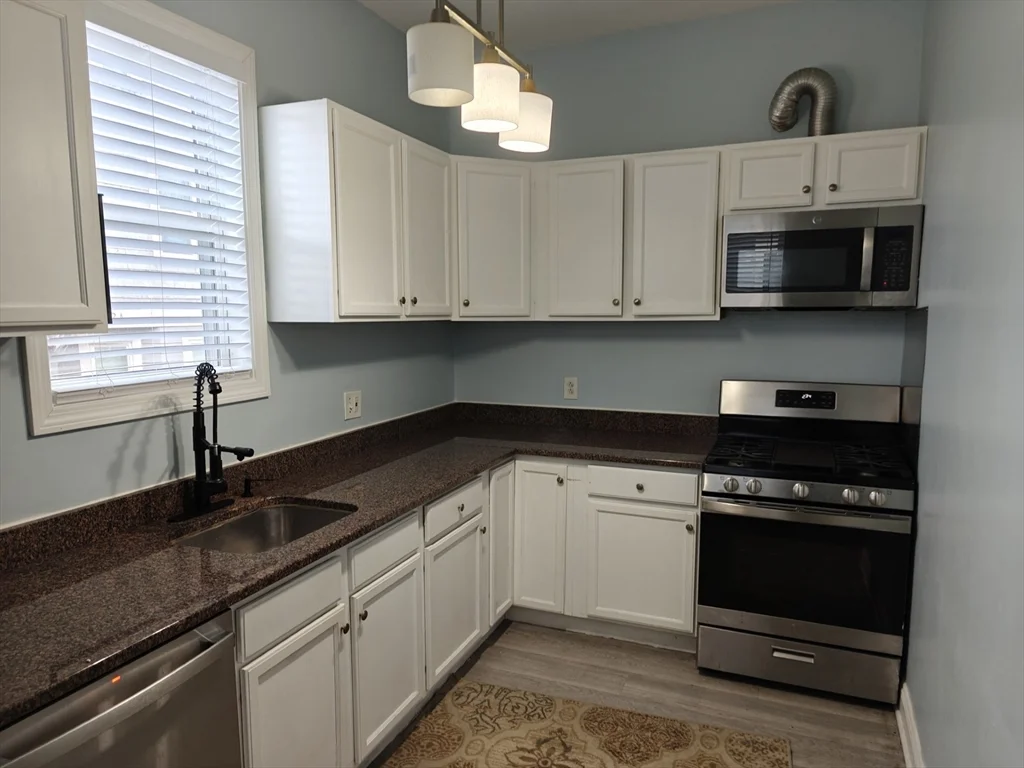 102 Mount Pleasant Ave, Roxbury