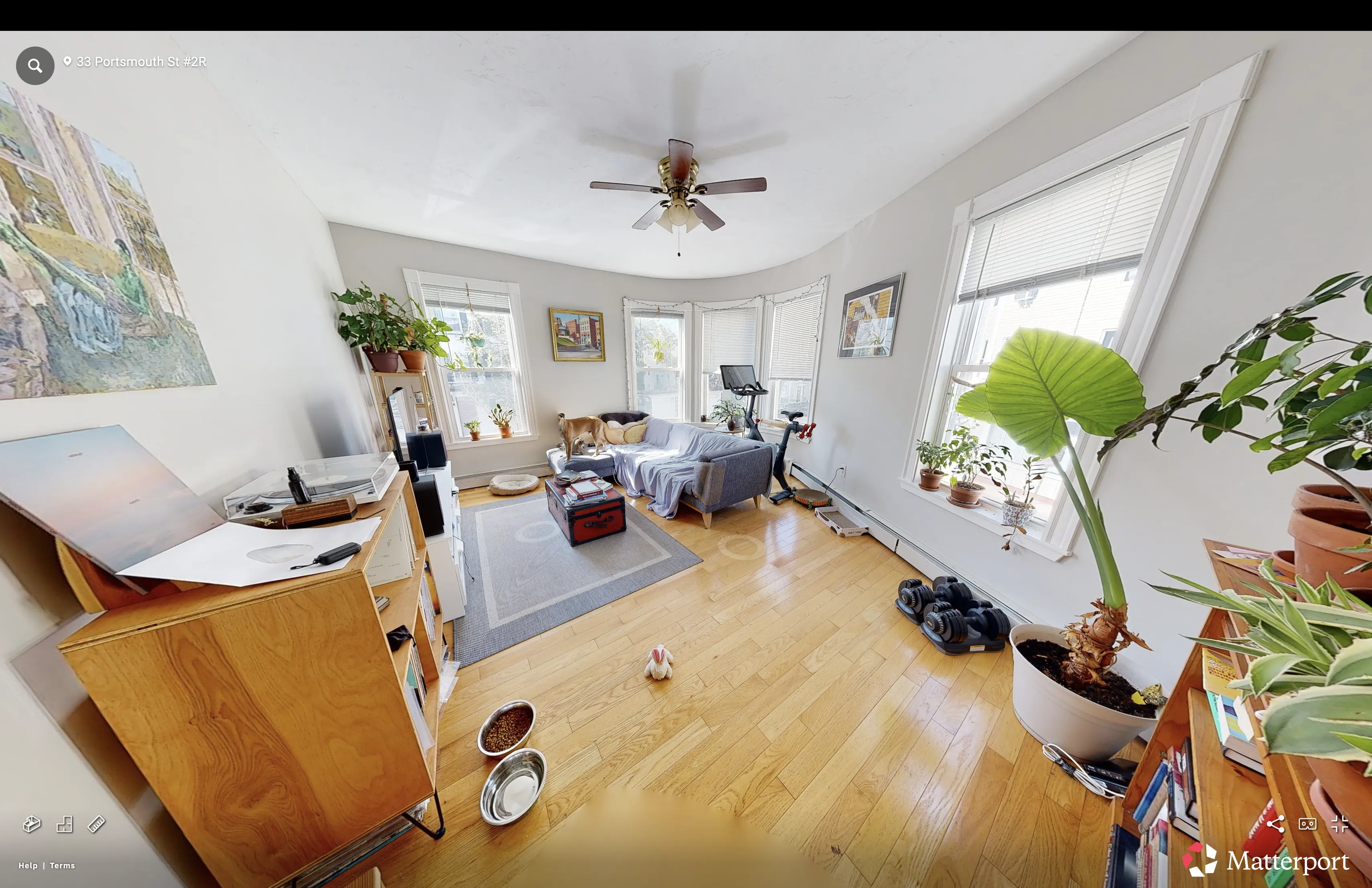 33 Portsmouth St, Wellington-Harrington