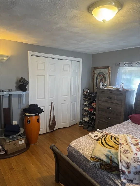 21 Cook, Chelsea