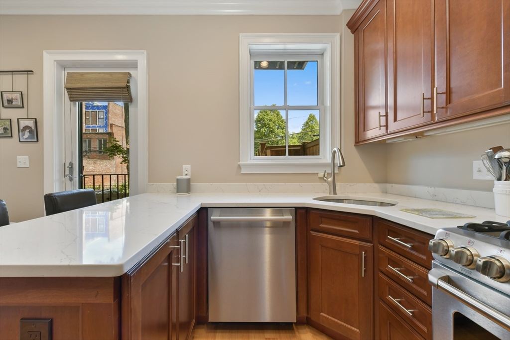 209 W Springfield St, South End