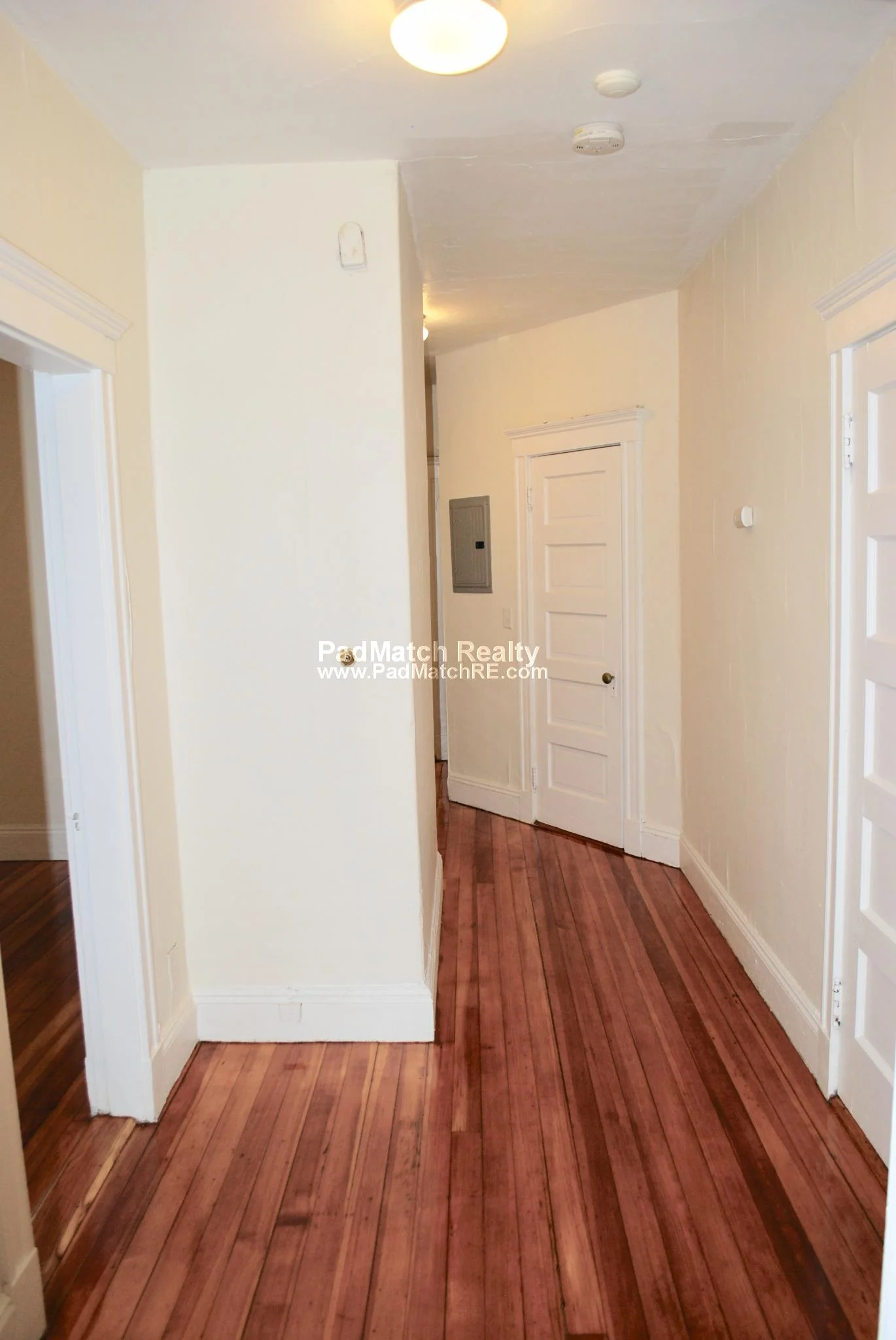 11 Mount Hood Rd, Brighton