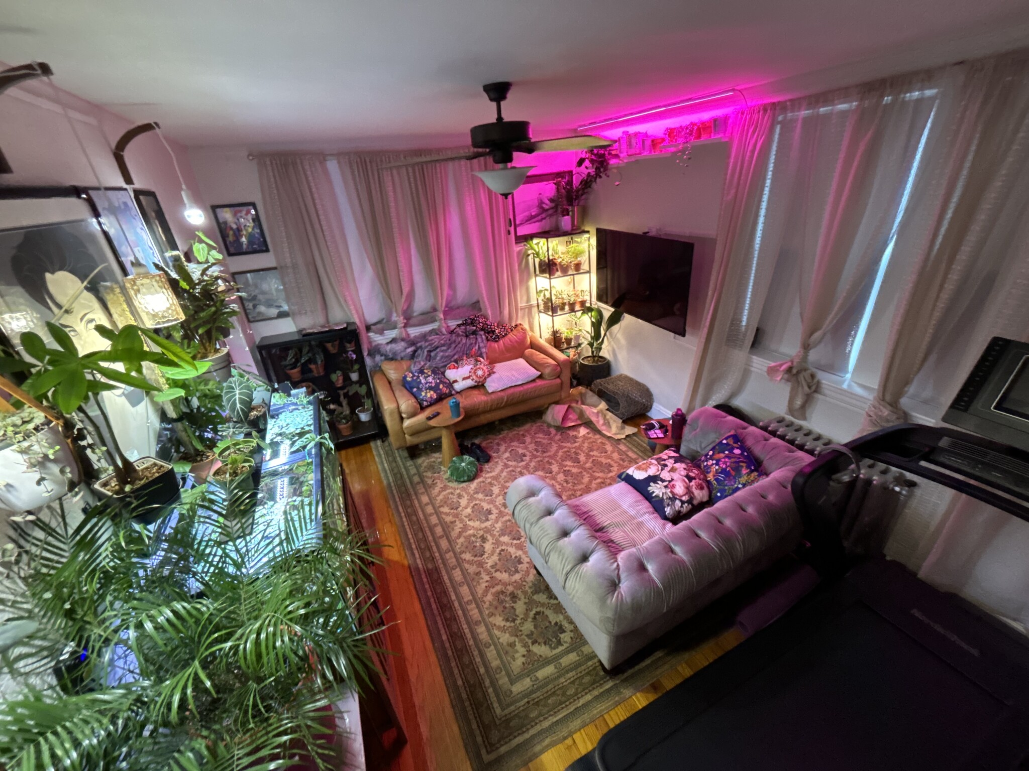 89 Strathmore Rd, Brighton