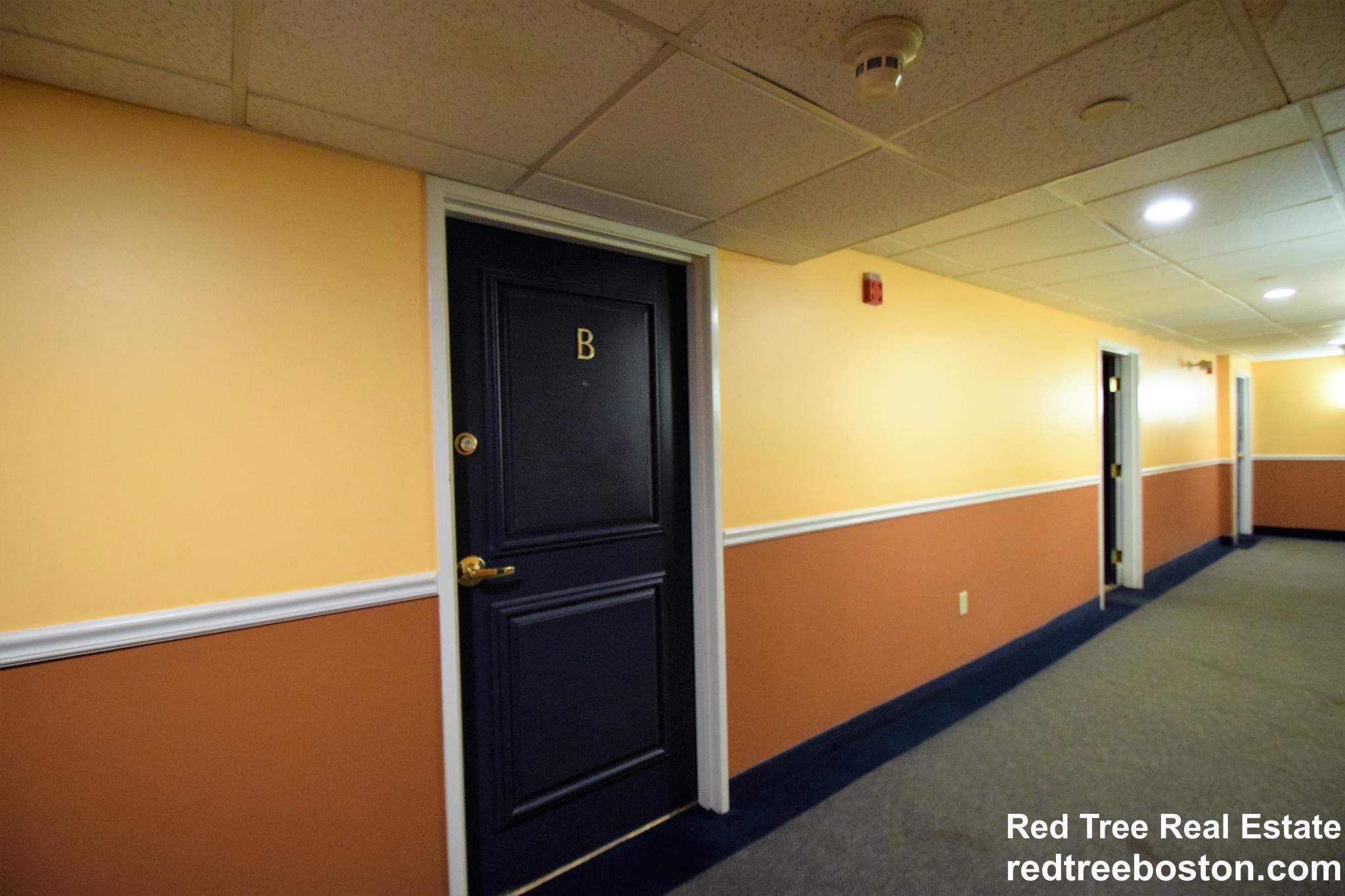 107 Queensberry St, Fenway