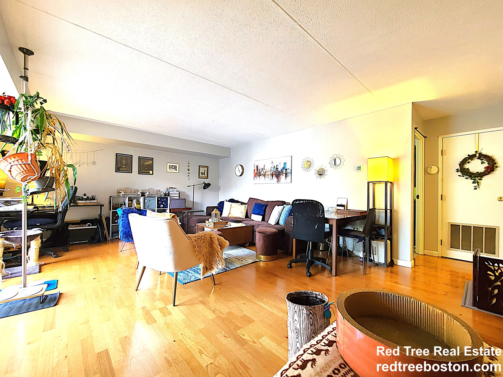 1243 Beacon St, Coolidge Corner South Side