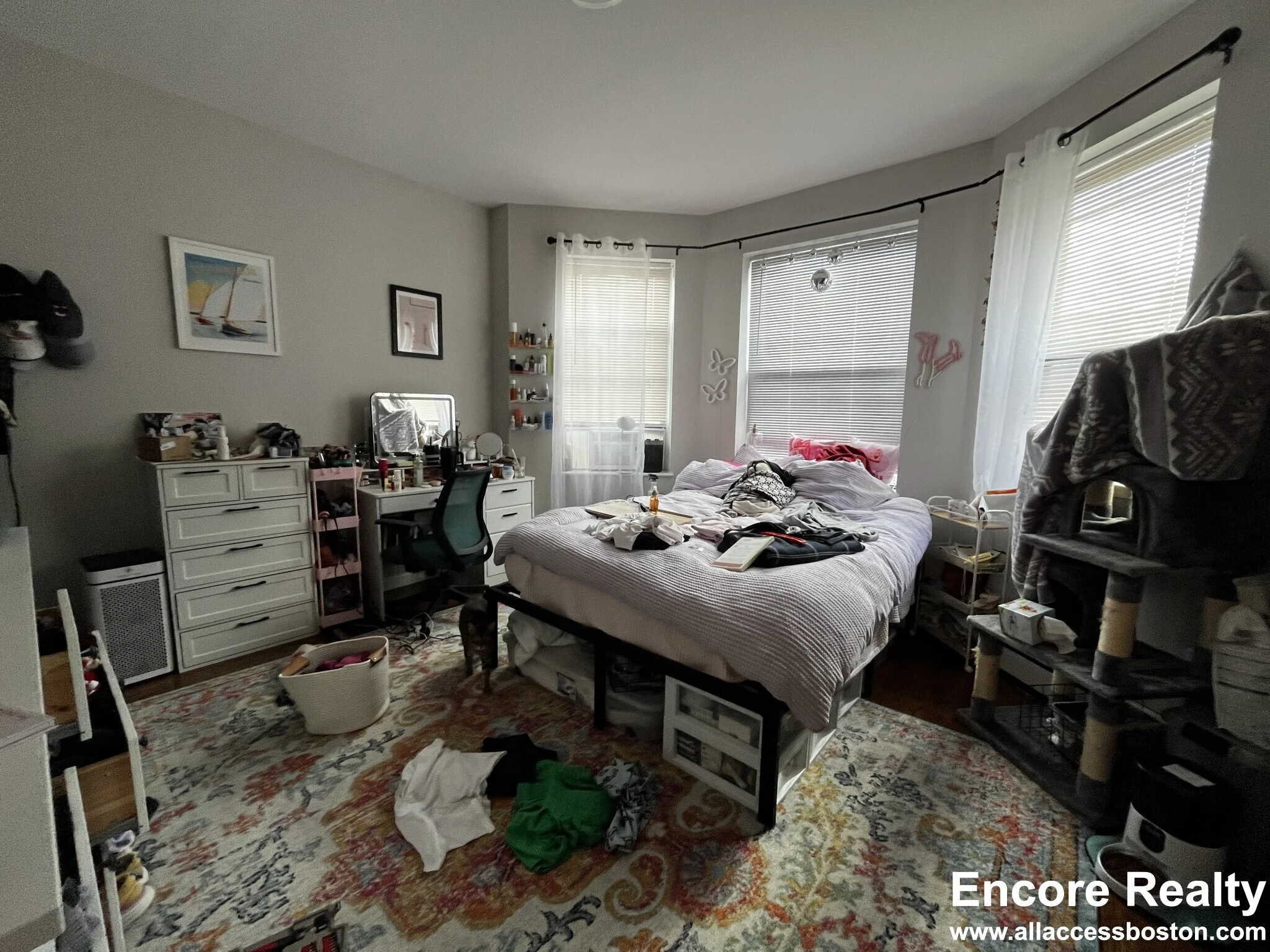 15 Stearns Rd, Coolidge Corner