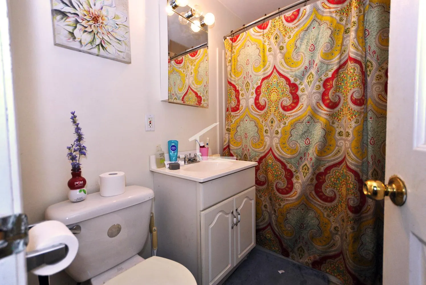 62 Egmont St, North Brookline