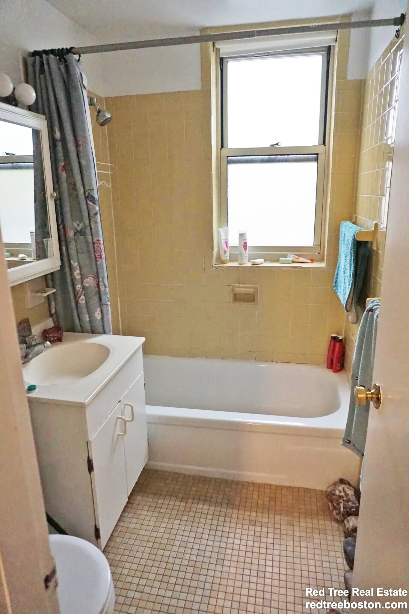 20 Colborne Rd, Brighton