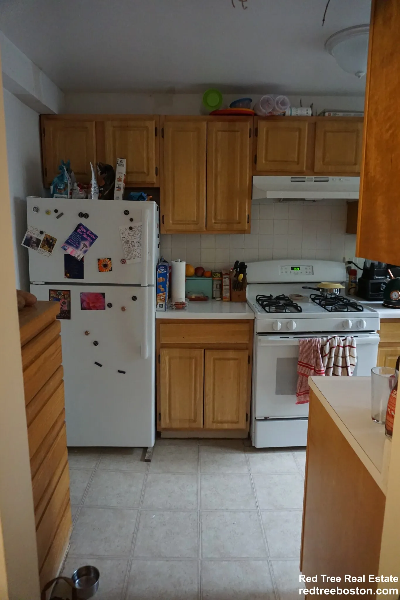 20 Colborne Rd, Brighton