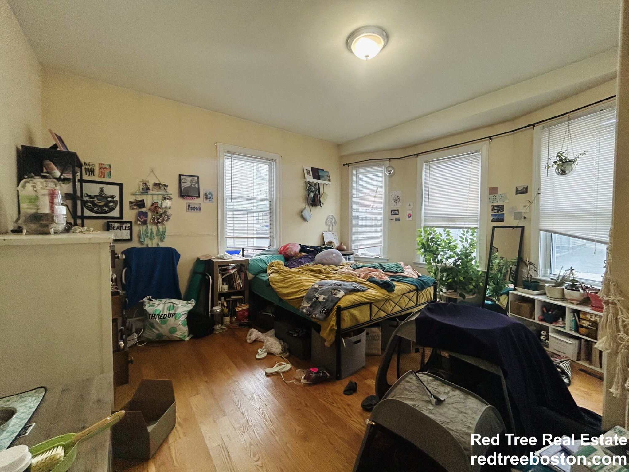 20 Armstrong St, Jamaica Plain