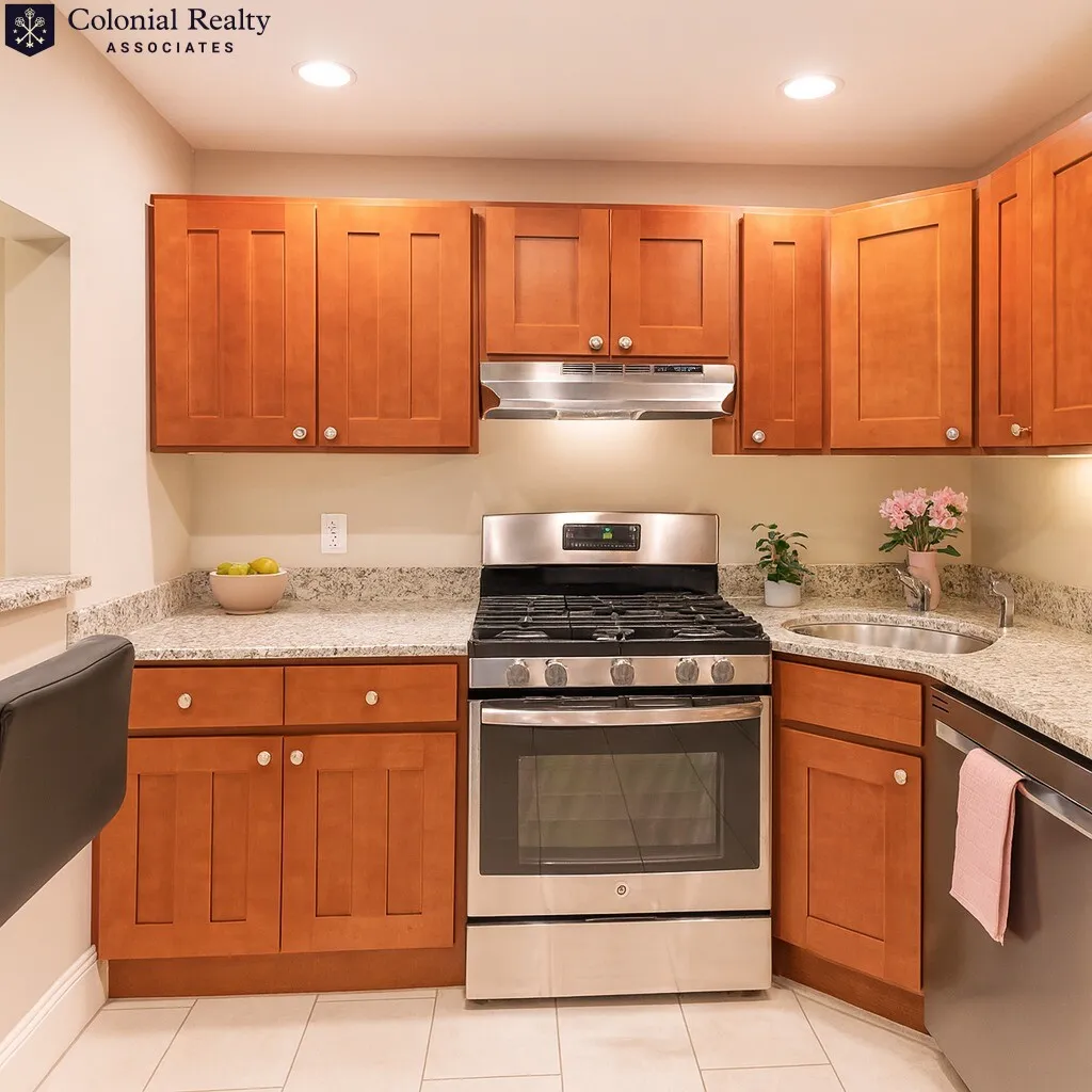 66 Egmont St, North Brookline