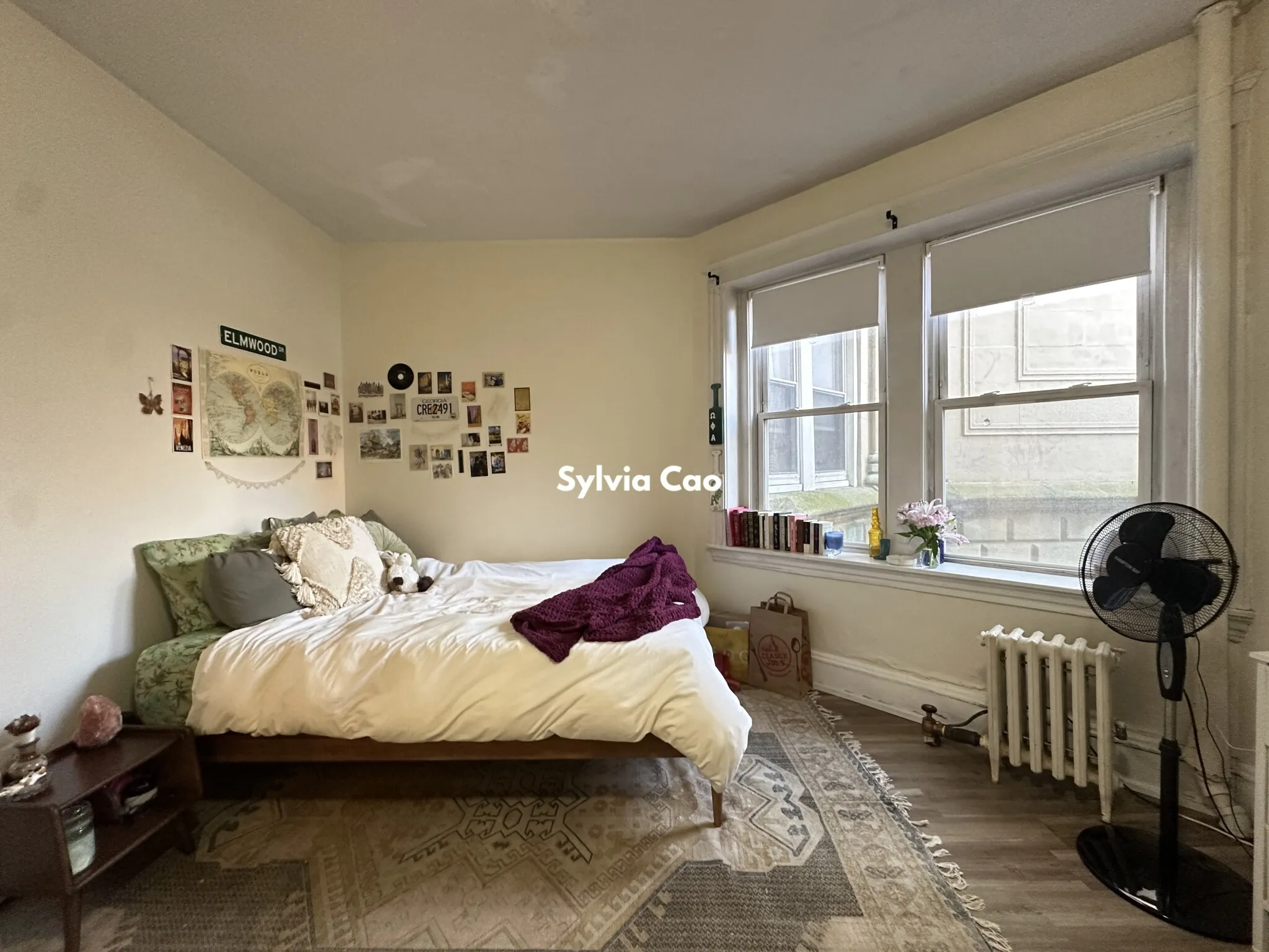 54 Egmont St, North Brookline