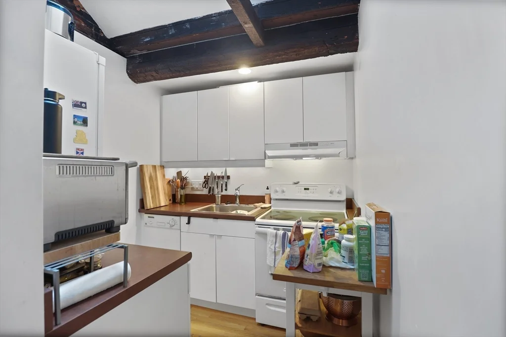 101 W Springfield St, South End