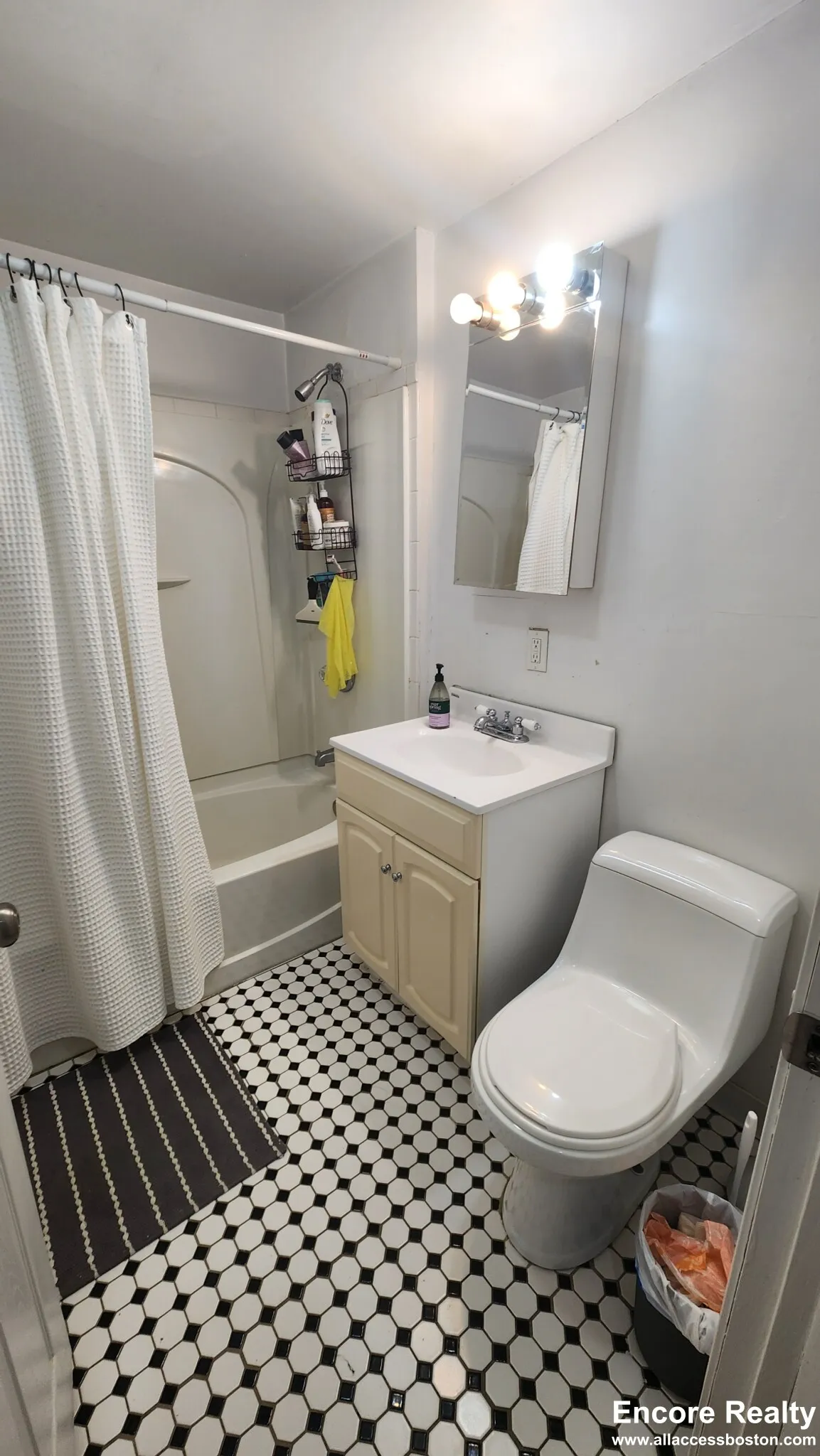 66 Egmont St, North Brookline