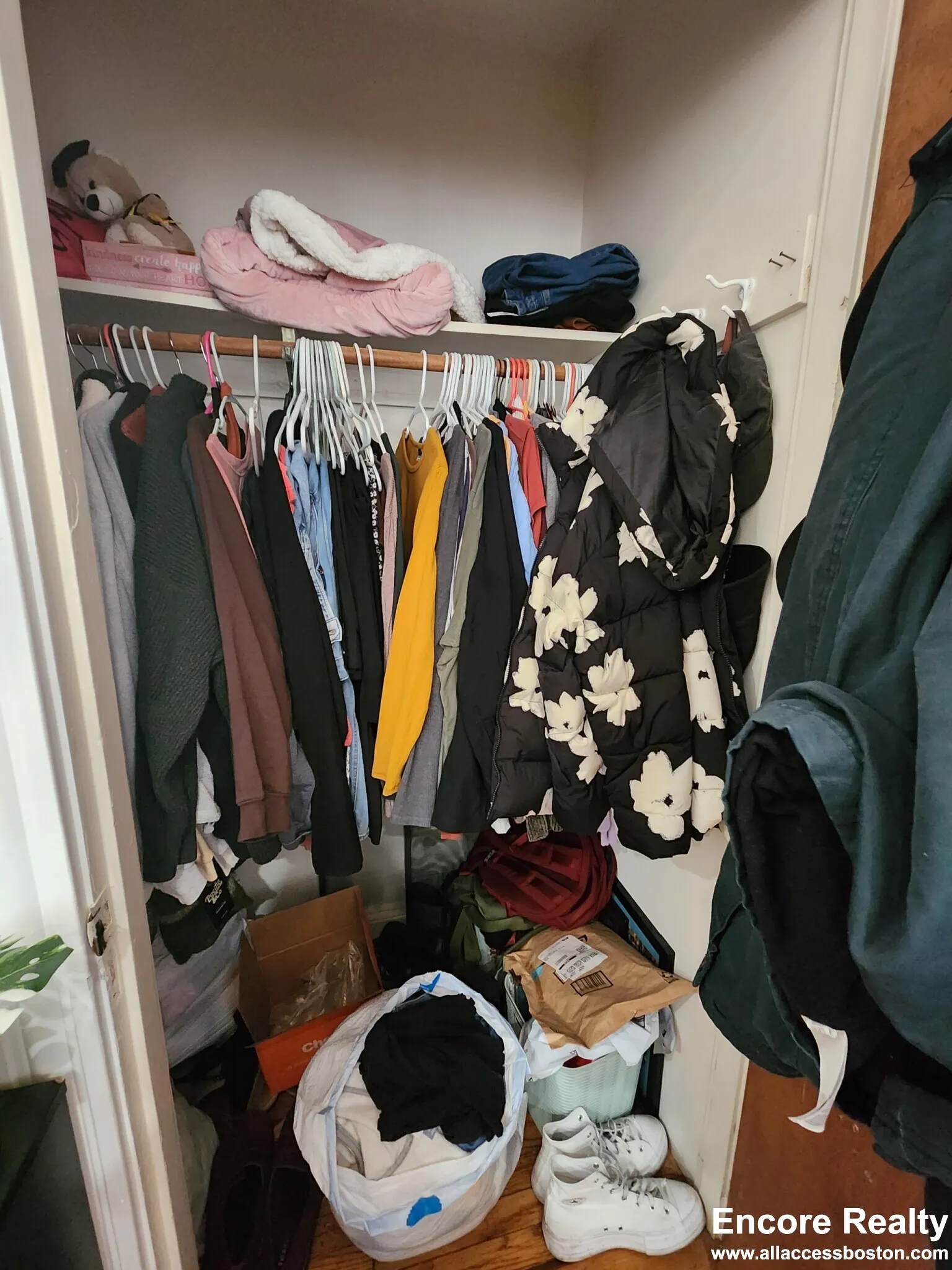 240 Kelton St, Brighton