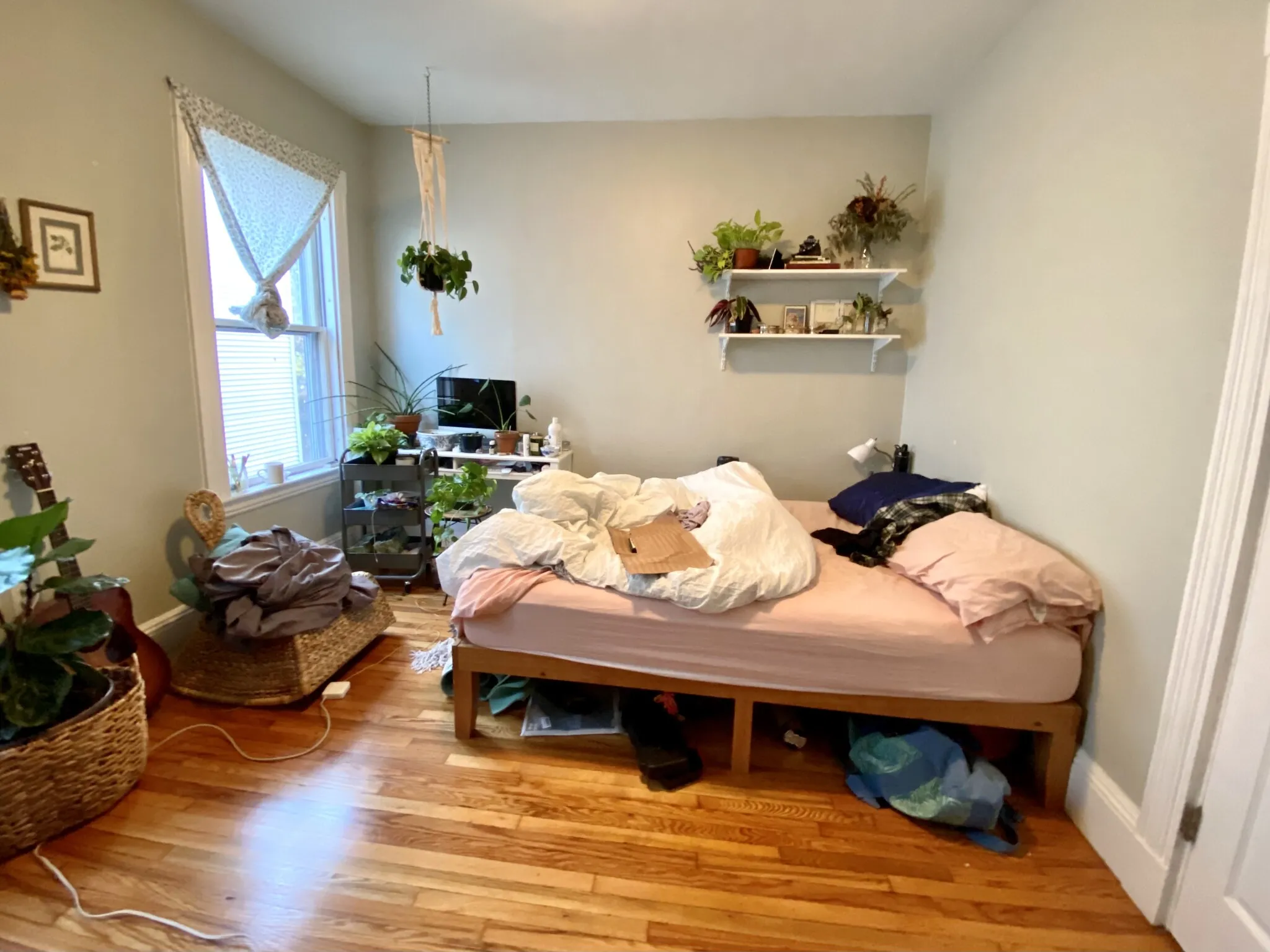 3 Oswald St, Mission Hill