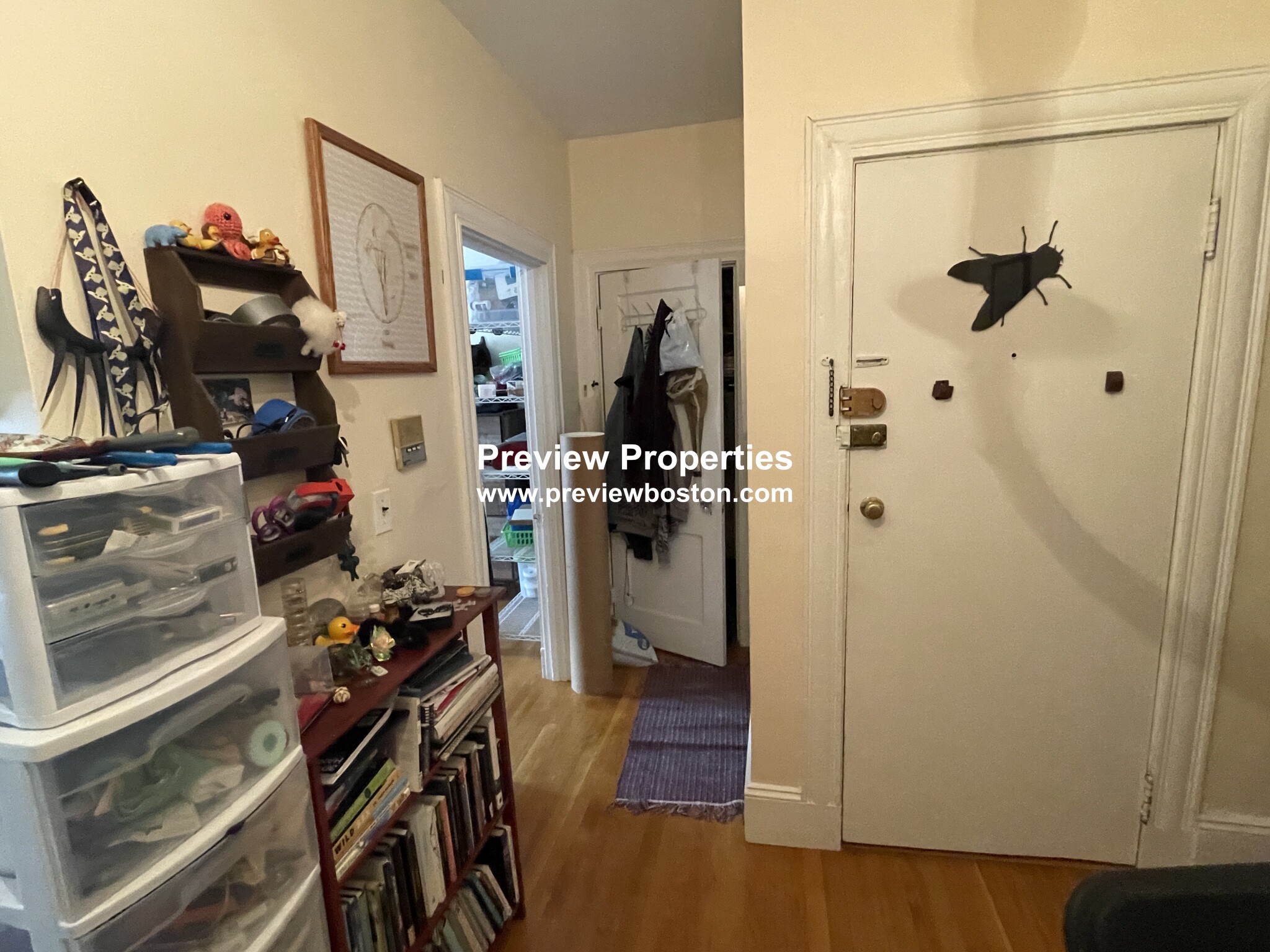 57 Brighton Ave, Brighton