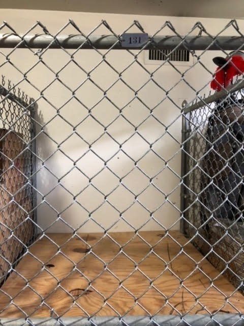 1731 Beacon St, Brookline