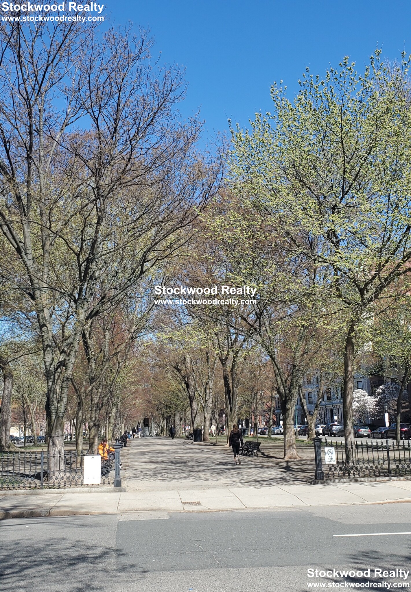 195 Commonwealth Ave, Back Bay