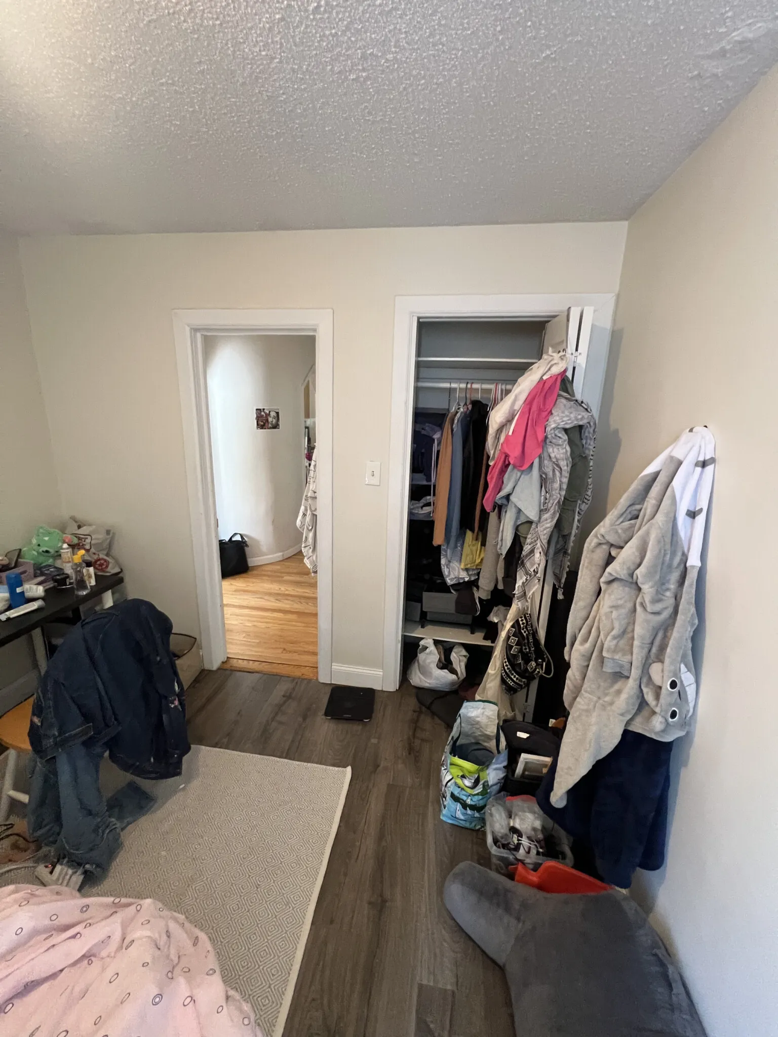 294 Prospect St, Wellington-Harrington