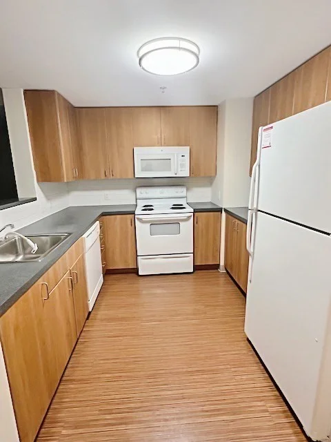 168 Brookline Ave, Fenway