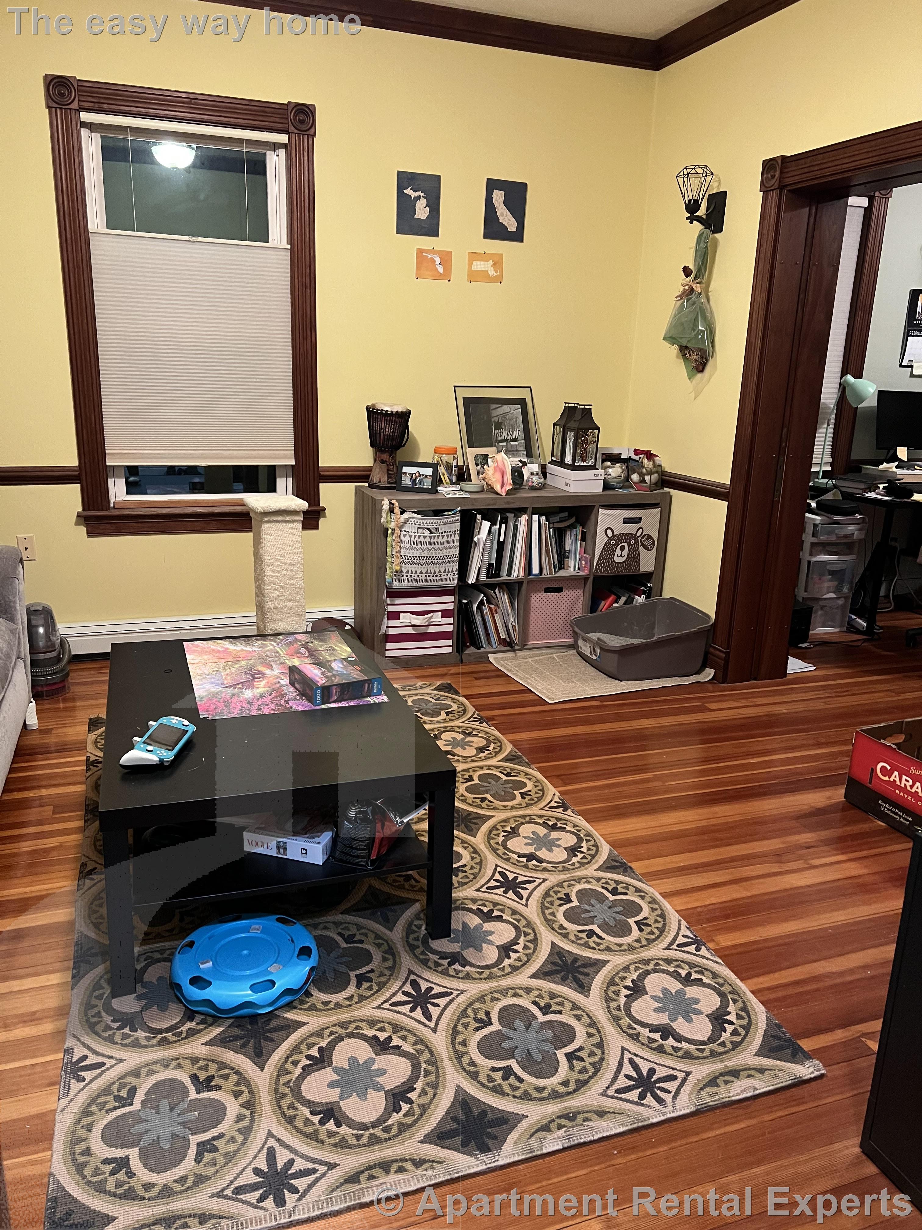 55 Avon St, Spring Hill