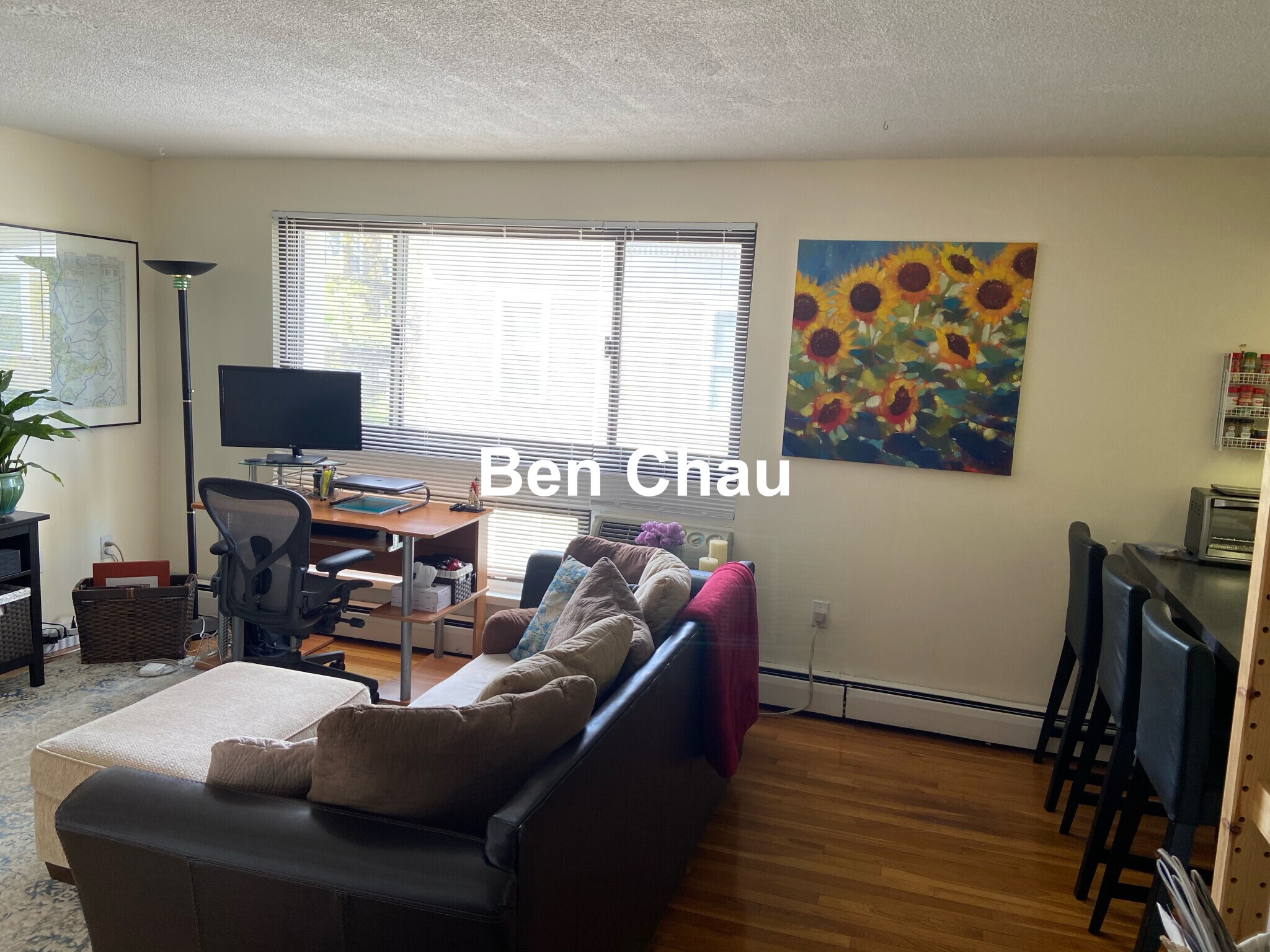 77 Trowbridge St, Mid-Cambridge