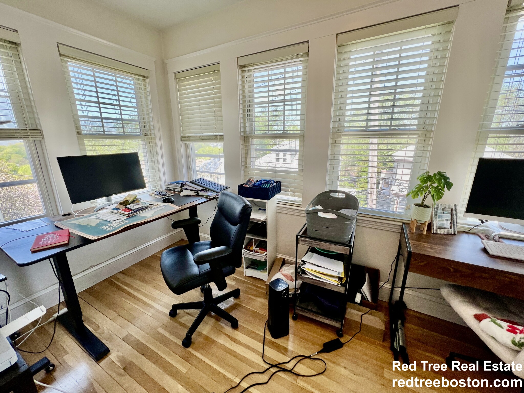 37 North Crescent Circuit, Brighton