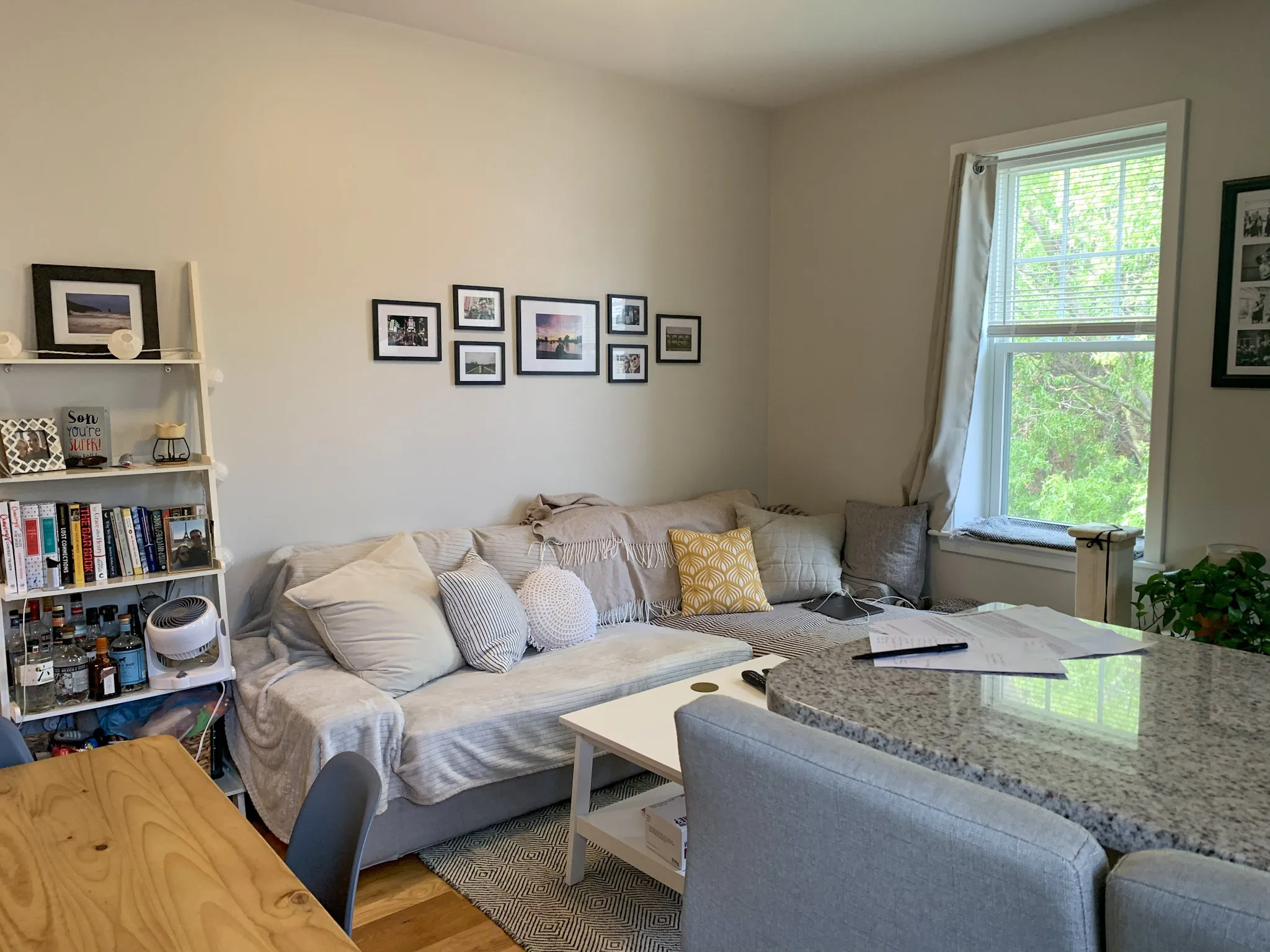 33 Anderson St, Beacon Hill