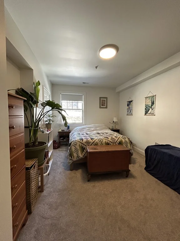 43 Pitman St, Spring Hill