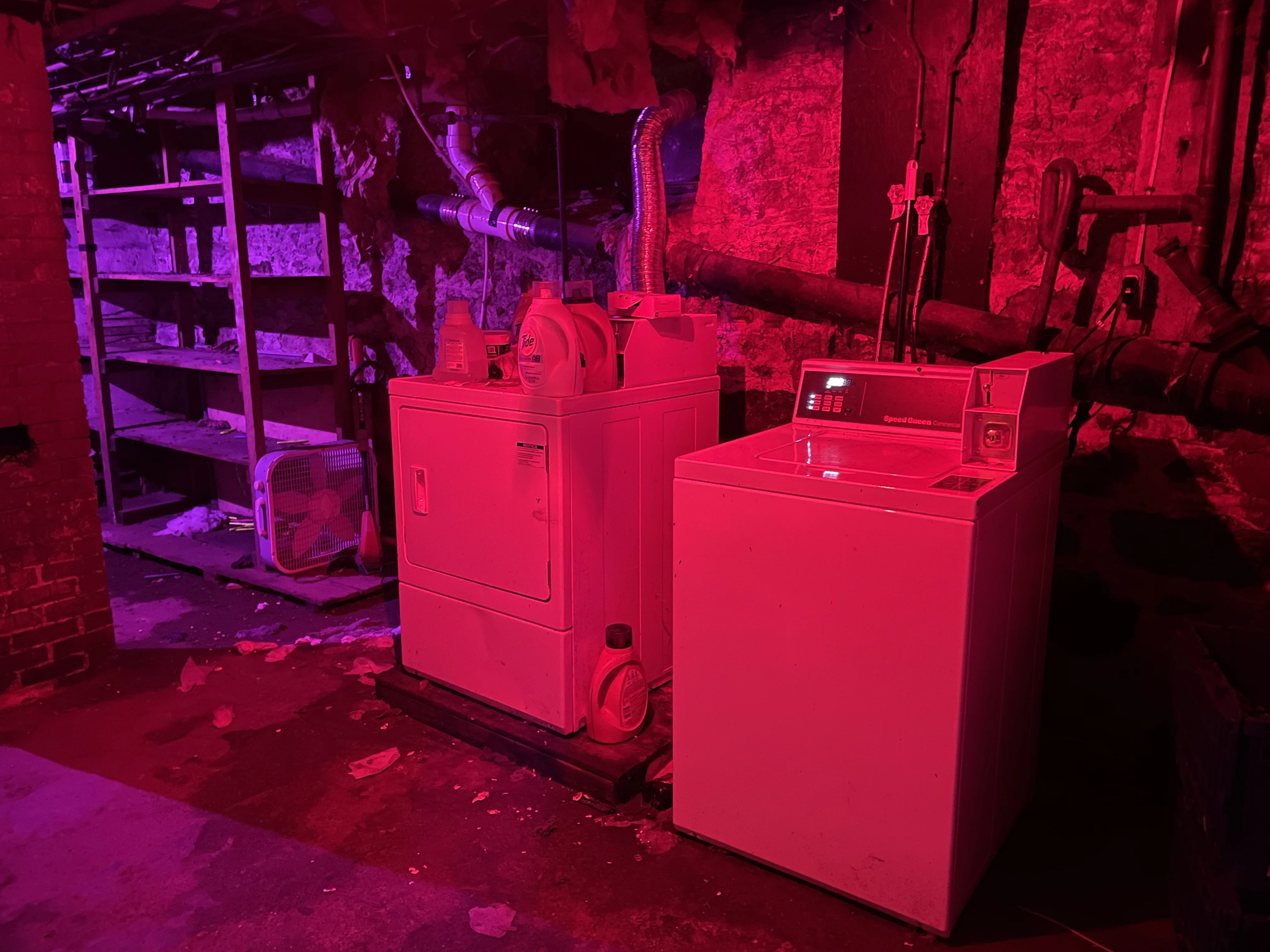 48 Alleghany St, Mission Hill