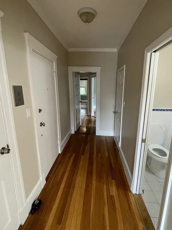235 Freeman St, Coolidge Corner